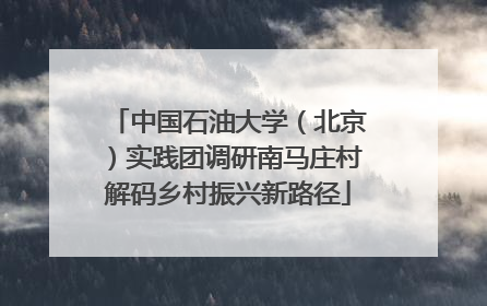 中国石油大学(北京)实践团调研南马庄村解码乡村振兴新路径
