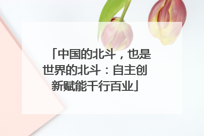 中国的北斗，也是世界的北斗：自主创新赋能千行百业