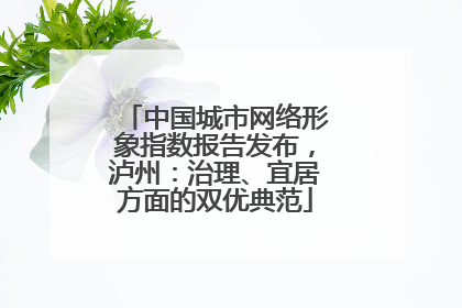 中国城市网络形象指数报告发布，泸州：治理、宜居方面的双优典范
