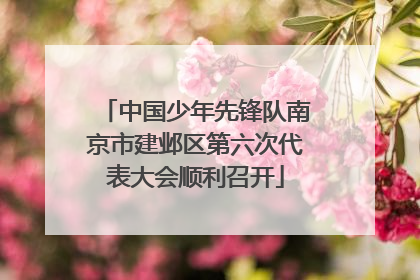 中国少年先锋队南京市建邺区第六次代表大会顺利召开