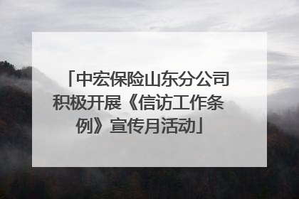 中宏保险山东分公司积极开展《信访工作条例》宣传月活动