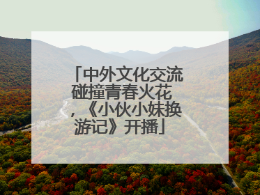 中外文化交流 碰撞青春火花，《小伙小妹换游记》开播