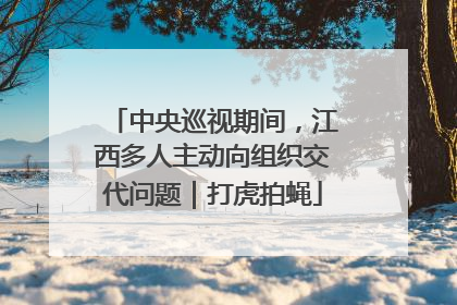 中央巡视期间，江西多人主动向组织交代问题｜打虎拍蝇