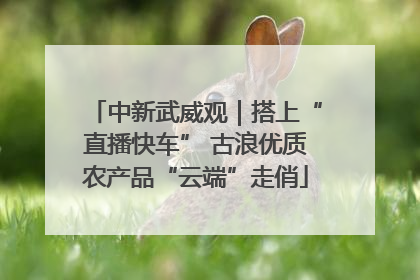 中新武威观｜搭上“直播快车” 古浪优质农产品“云端”走俏