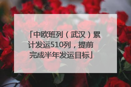 中欧班列（武汉）累计发运510列，提前完成半年发运目标
