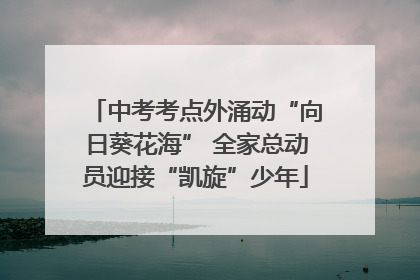中考考点外涌动“向日葵花海” 全家总动员迎接“凯旋”少年