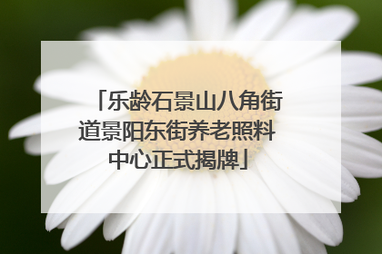 乐龄石景山八角街道景阳东街养老照料中心正式揭牌
