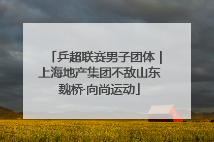 乒超联赛男子团体｜上海地产集团不敌山东魏桥·向尚运动