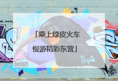 乘上绿皮火车 慢游精彩东营