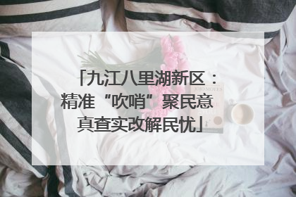 九江八里湖新区：精准“吹哨”聚民意 真查实改解民忧