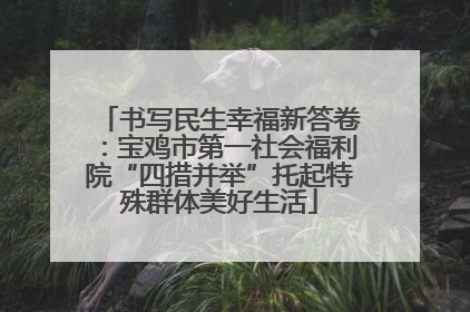 书写民生幸福新答卷：宝鸡市第一社会福利院“四措并举”托起特殊群体美好生活