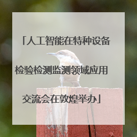 人工智能在特种设备检验检测监测领域应用交流会在敦煌举办