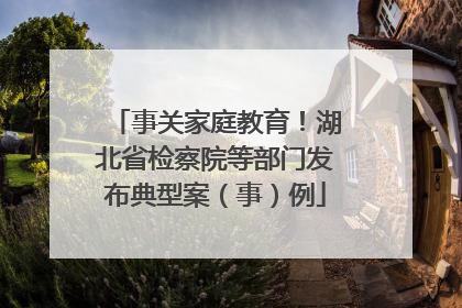 事关家庭教育！湖北省检察院等部门发布典型案（事）例