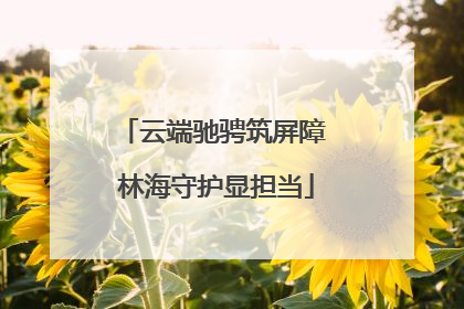 云端驰骋筑屏障 林海守护显担当