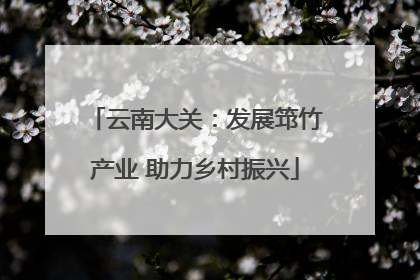 云南大关：发展筇竹产业 助力乡村振兴