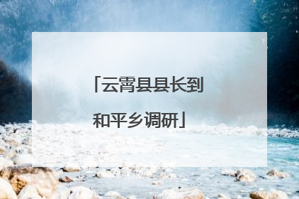 云霄县县长到和平乡调研