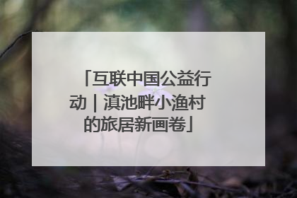互联中国公益行动｜滇池畔小渔村的旅居新画卷