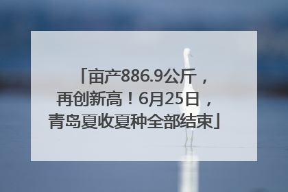 亩产886.9公斤，再创新高！6月25日，青岛夏收夏种全部结束