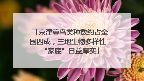 京津冀鸟类种数约占全国四成，三地生物多样性“家底”日益厚实