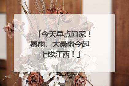 今天早点回家！暴雨、大暴雨今起上线江西！