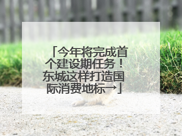 今年将完成首个建设期任务！东城这样打造国际消费地标→