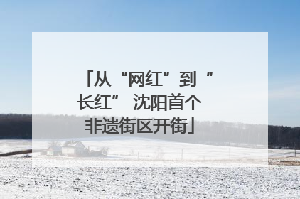 从“网红”到“长红” 沈阳首个非遗街区开街