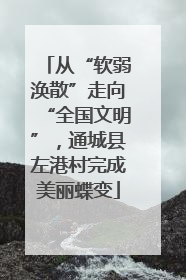 从“软弱涣散”走向“全国文明”，通城县左港村完成美丽蝶变