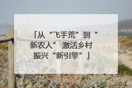 从“飞手荒”到“新农人” 激活乡村振兴“新引擎”