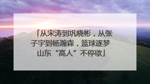 从宋涛到巩晓彬，从张子宇到杨瀚森，篮球逐梦山东“高人”不停歇