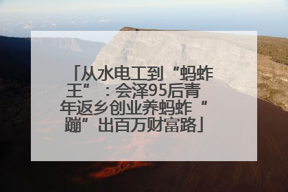 从水电工到“蚂蚱王”：会泽95后青年返乡创业养蚂蚱“蹦”出百万财富路