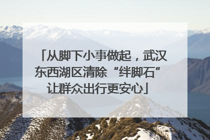 从脚下小事做起，武汉东西湖区清除“绊脚石”让群众出行更安心