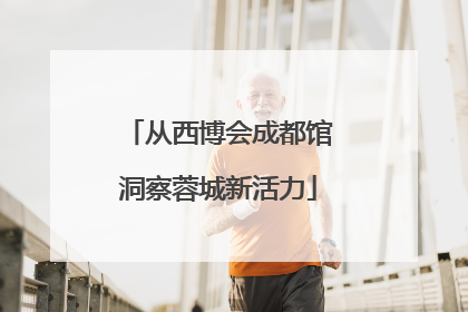 从西博会成都馆洞察蓉城新活力