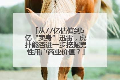 从77亿估值到5亿“卖身”迅雷，虎扑能否进一步挖掘男性用户商业价值？
