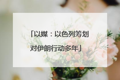 以媒:以色列筹划对伊朗行动多年