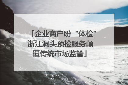 企业商户盼“体检” 浙江洞头预检服务颠覆传统市场监管