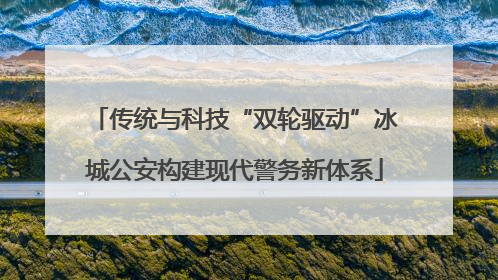 传统与科技“双轮驱动”冰城公安构建现代警务新体系