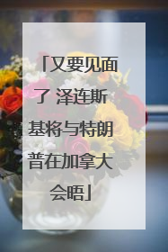 又要见面了 泽连斯基将与特朗普在加拿大会晤