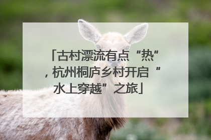 古村漂流有点“热”，杭州桐庐乡村开启“水上穿越”之旅