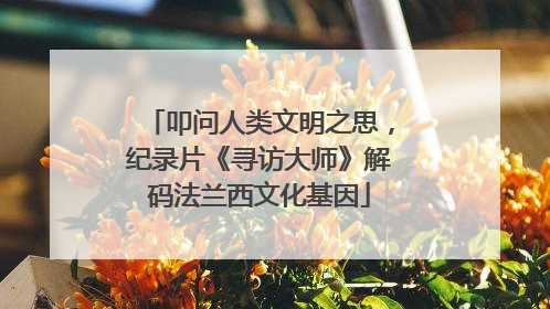 叩问人类文明之思，纪录片《寻访大师》解码法兰西文化基因