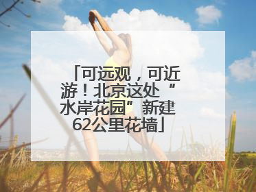 可远观，可近游！北京这处“水岸花园”新建62公里花墙