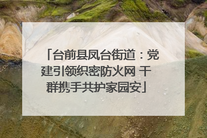 台前县凤台街道：党建引领织密防火网 干群携手共护家园安