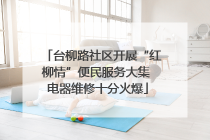 台柳路社区开展“红柳情”便民服务大集 电器维修十分火爆