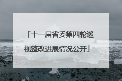 十一届省委第四轮巡视整改进展情况公开