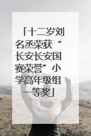 十二岁刘名丞荣获“长安长安国赛荣誉”小学高年级组一等奖