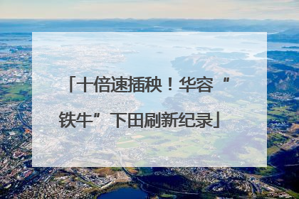 十倍速插秧！华容“铁牛”下田刷新纪录