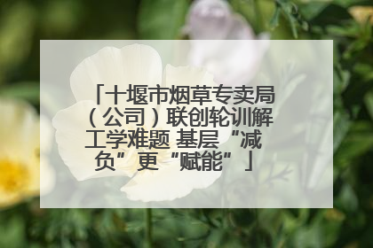 十堰市烟草专卖局（公司）联创轮训解工学难题 基层“减负”更“赋能”