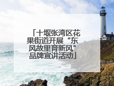 十堰张湾区花果街道开展“东风故里育新风”品牌宣讲活动