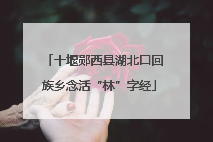 十堰郧西县湖北口回族乡念活“林”字经