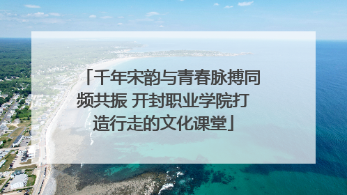 千年宋韵与青春脉搏同频共振 开封职业学院打造行走的文化课堂