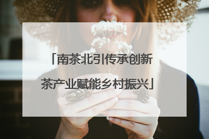 南茶北引传承创新 茶产业赋能乡村振兴